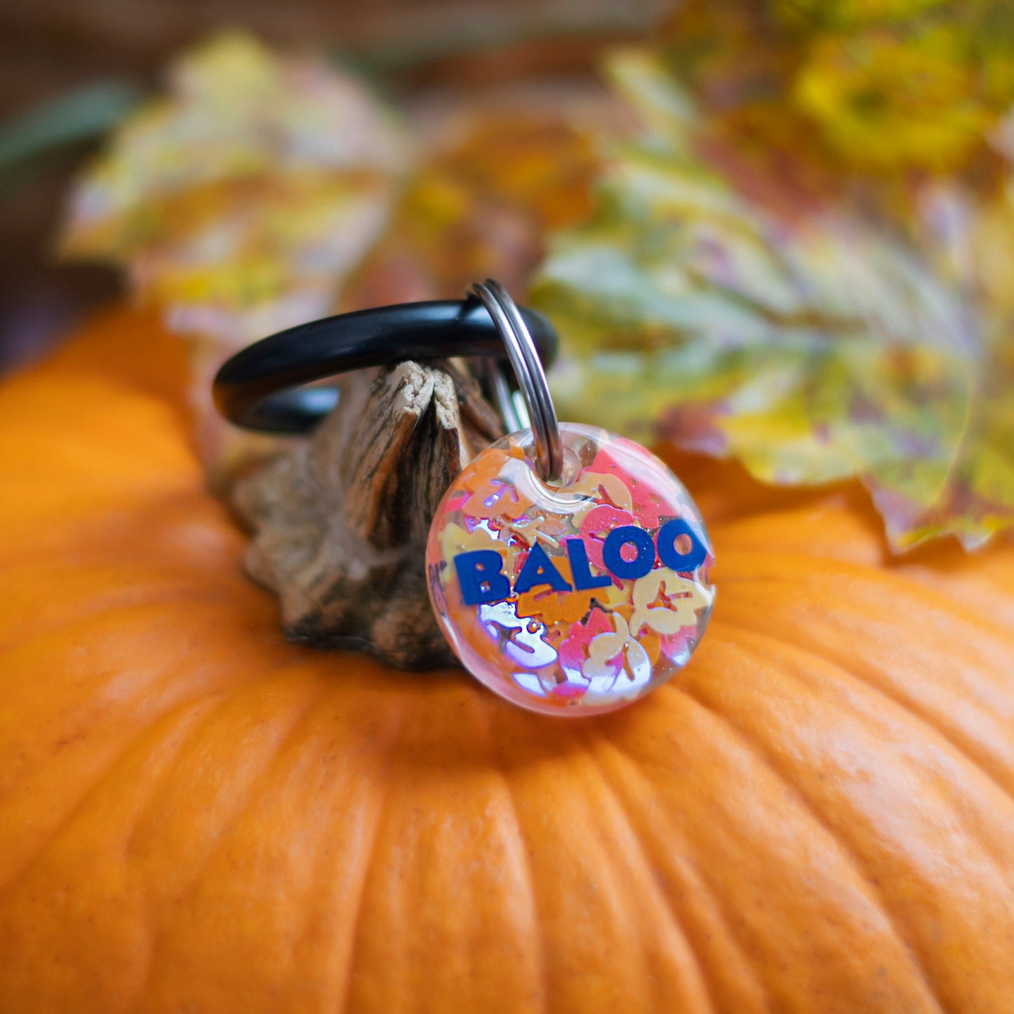 Foglie Autunno