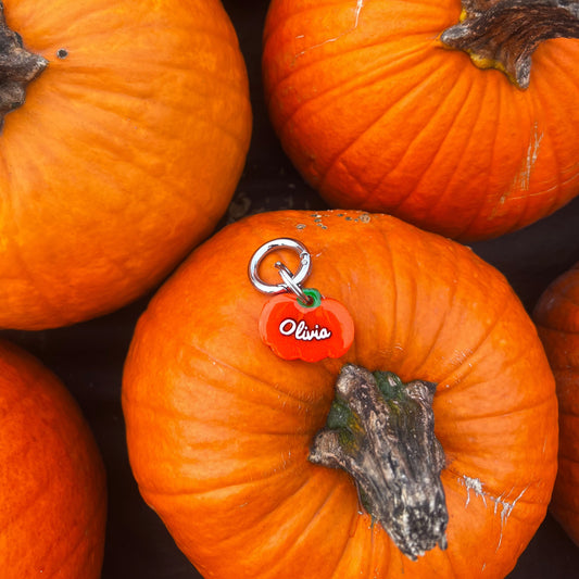 Zucca